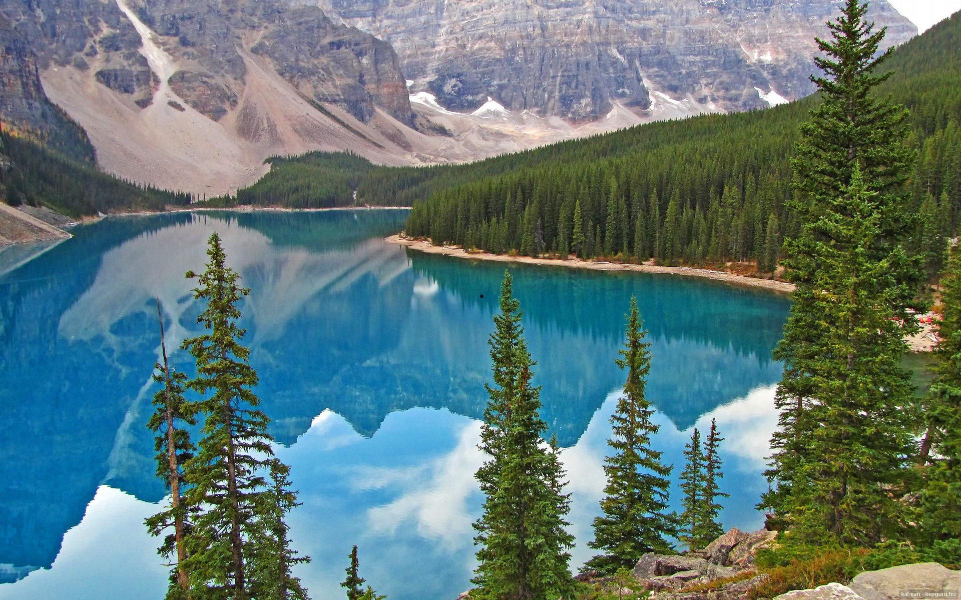 现在有什么热门电影