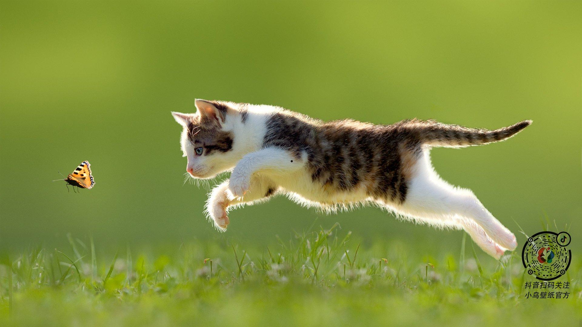 现在有什么热门电影