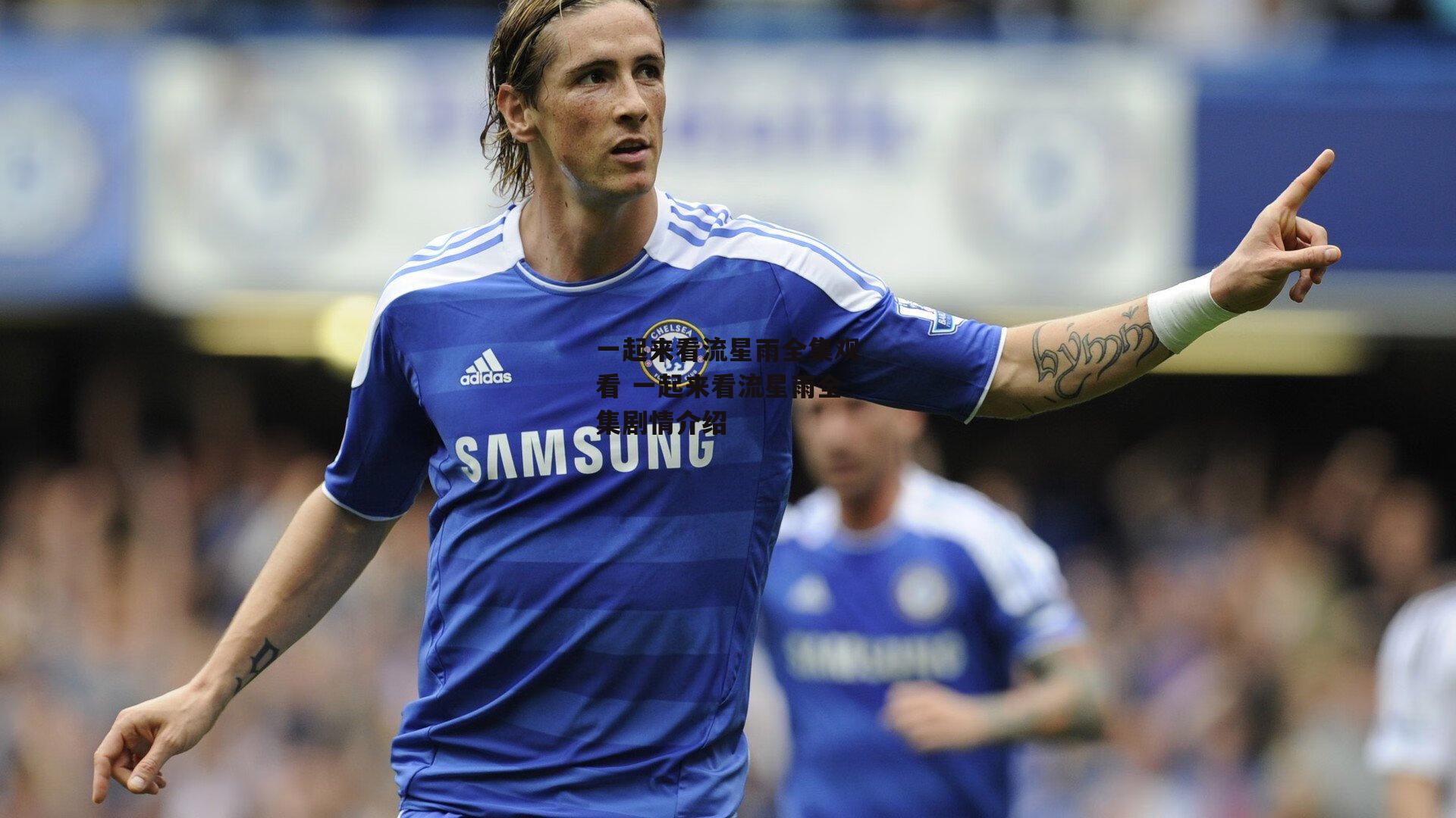 一起来看流星雨全集观看 一起来看流星雨全集剧情介绍