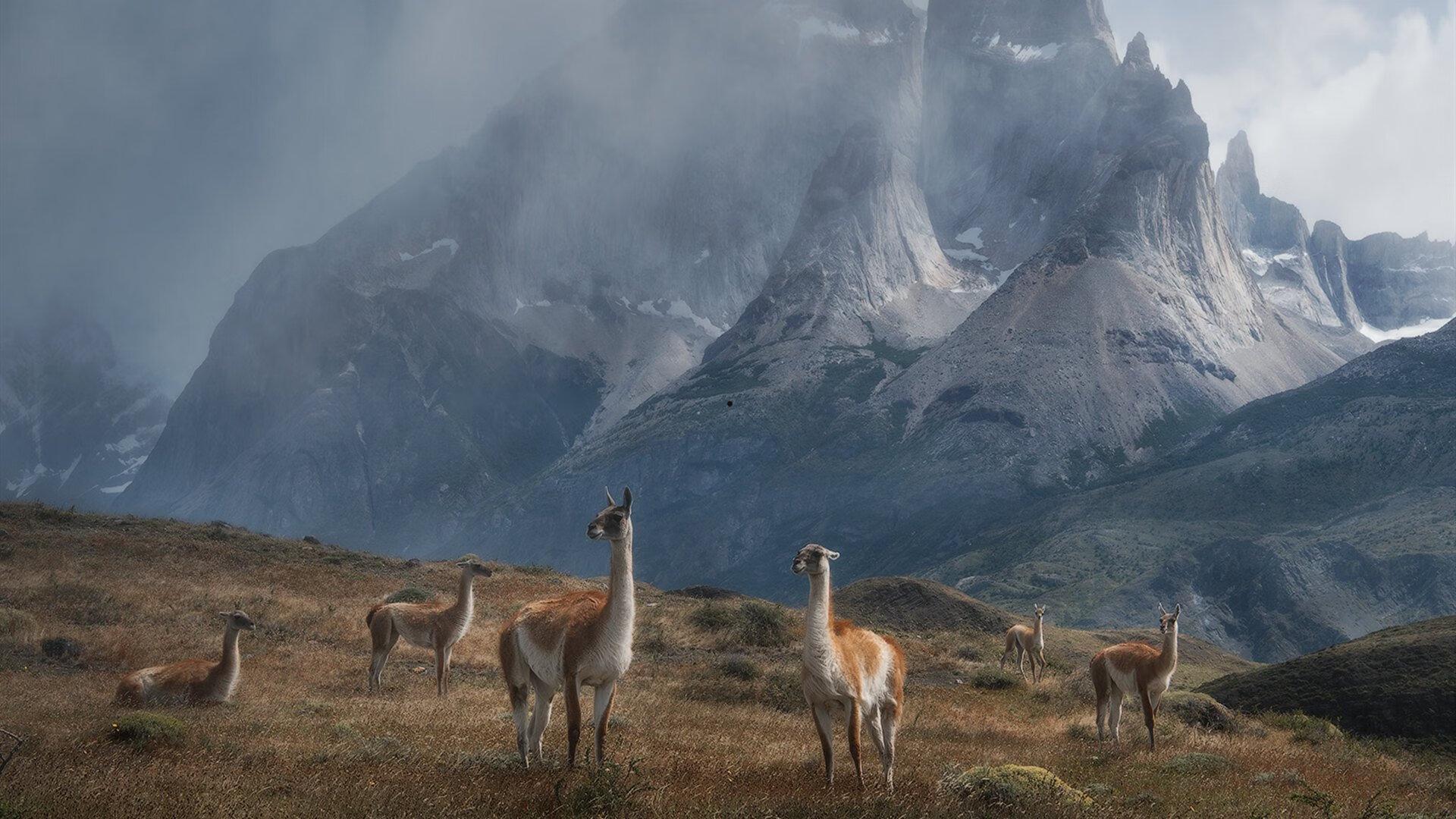 good grief是什么意思